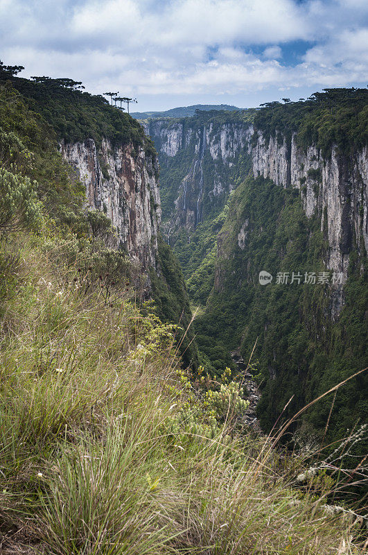 Serra Geral (Itaimbezinho峡谷)